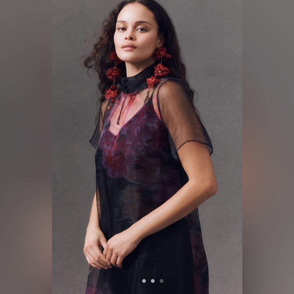 BHLDN Carina Short-Sleeve Organza Dress - Picture 2 of 7
